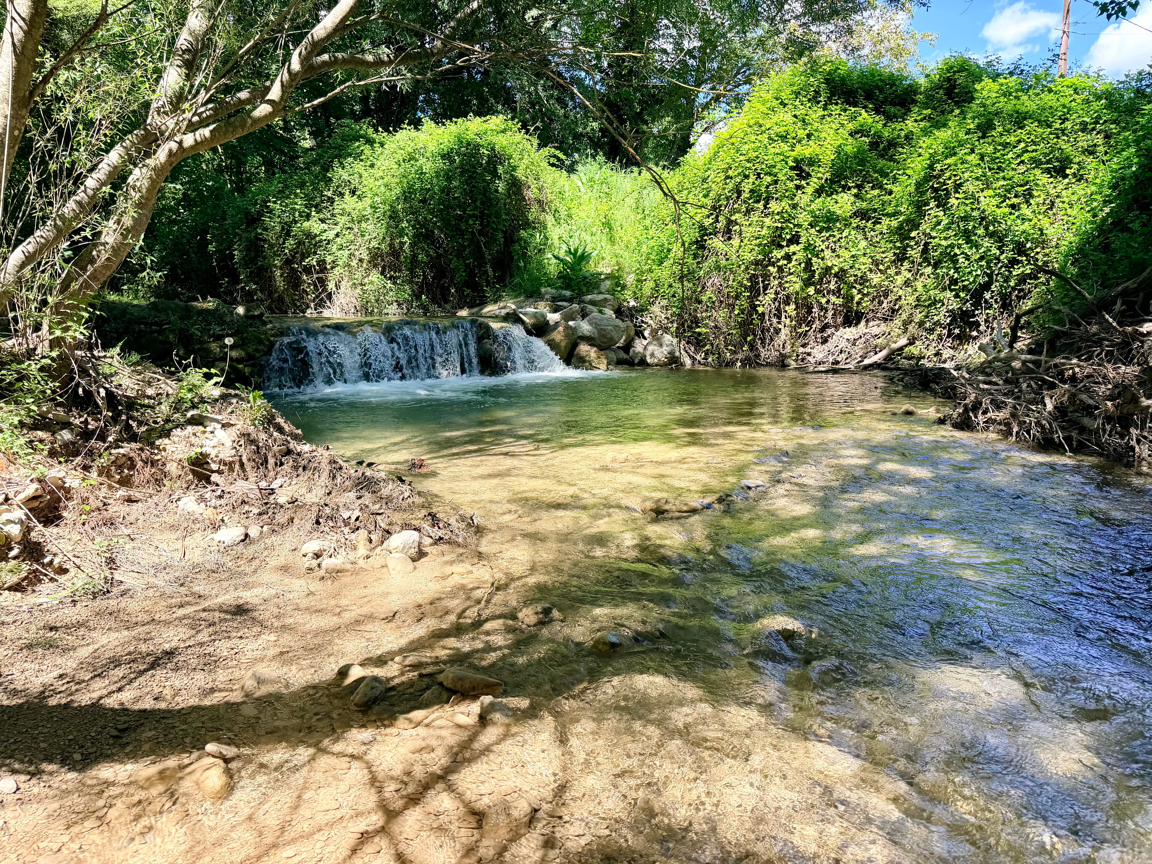 Le Vieux Moulin des Charmelles - Photo 4