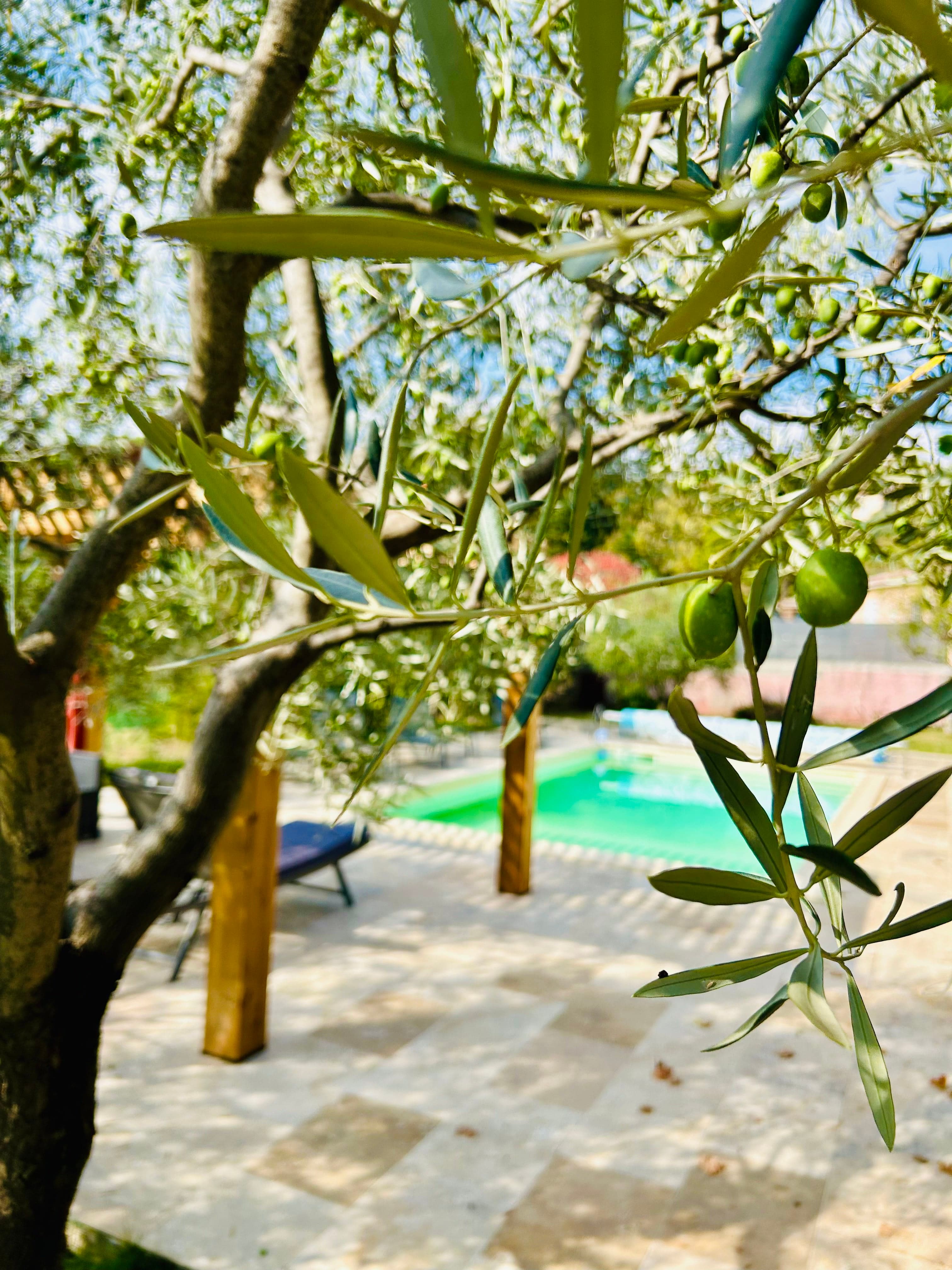 Location ponctuelle de logements en Provence - Alpes-de-Haute-Provence (04, 05, 83)